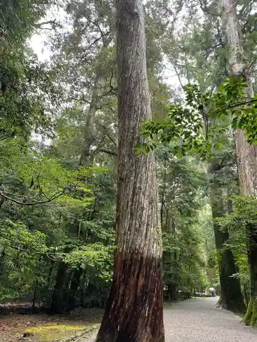 瀧原宮(皇大神宮別宮)(三重県)
