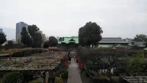 亀戸天神社の庭園