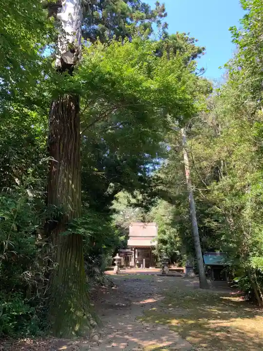 三社大神(千葉県)