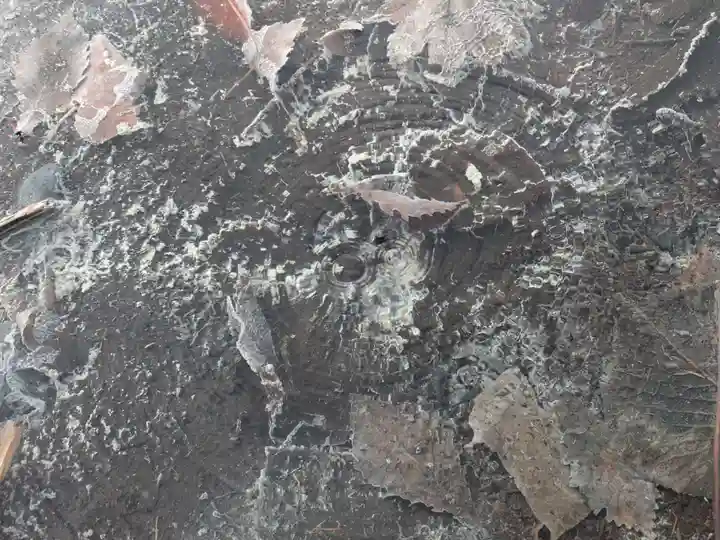 日光山輪王寺別院 温泉寺の自然