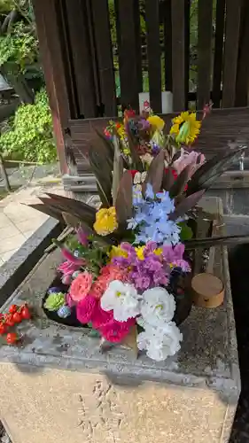 勝林寺(京都府)