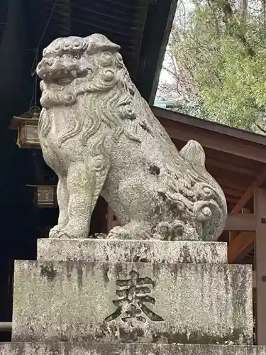 大宮八幡宮の狛犬