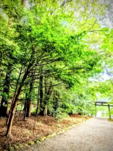 槵觸神社(宮崎県)