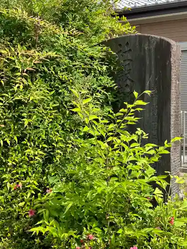 久伊豆神社の自然