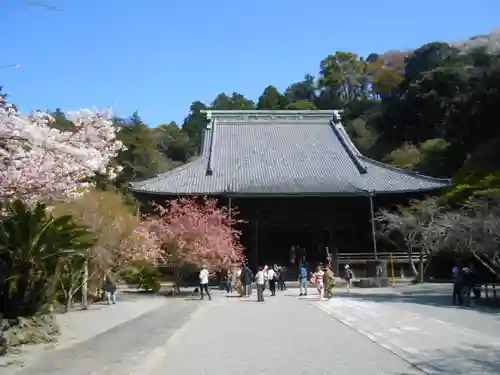 妙本寺の本殿・本堂