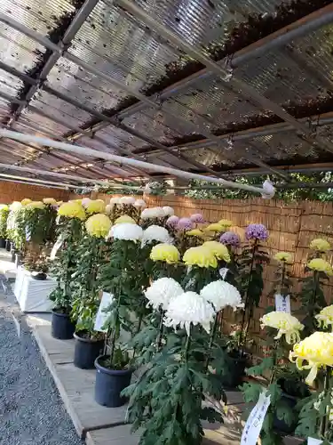 明治神宮の自然