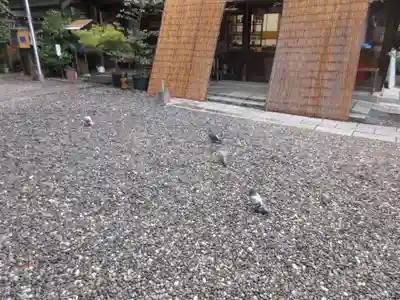 高知八幡宮(高知県)