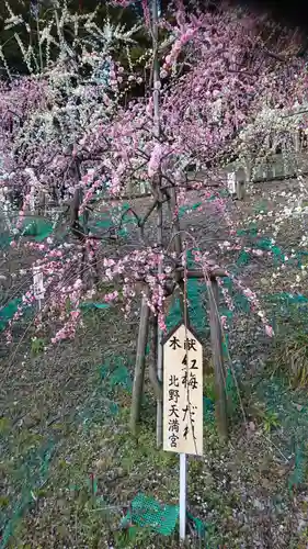 大縣神社の庭園