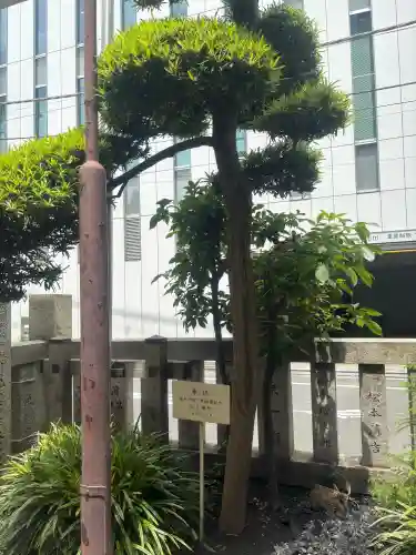 笠間稲荷神社 東京別社の{uncategorized: "未分類", other: "その他", undefined: "問題あり", building: "その他建物", grave: "お墓", sacred_gate: "鳥居", guardian: "狛犬", statue: "像", buddha: "仏像", history: "歴史", nature: "自然", garden: "庭園", animal: "動物", pagoda: "塔", temizu: "手水舎", mountain_gate: "山門・神門", sanctuary: "本殿・本堂", subordinate: "末社・摂社", art: "芸術", scenery: "景色", jizo: "地蔵", ema: "絵馬", goshuin: "御朱印", omikuji: "おみくじ", items: "授与品その他", amulet: "お守り", goshuincho: "御朱印帳", eats: "食事", festival: "お祭り", votive_dance: "神楽", shichigosan: "七五三参", wedding: "結婚式", experience: "体験その他", initially: "初詣", around: "周辺", anti_infection: "感染症対策"}