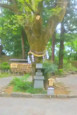 武田神社(山梨県)
