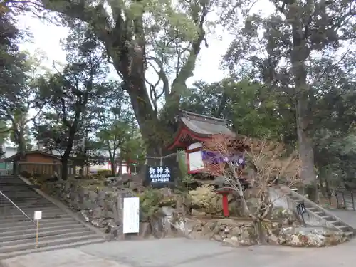 鹿児島神宮(鹿児島県)