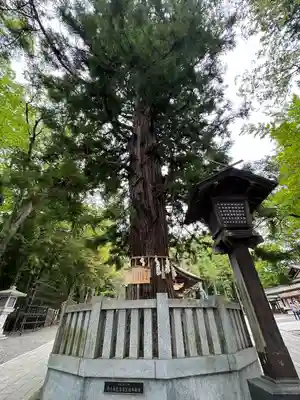 諏訪大社下社秋宮(長野県)