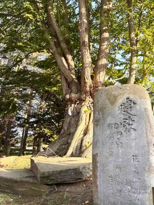 龍神社(美幌神社)(北海道)