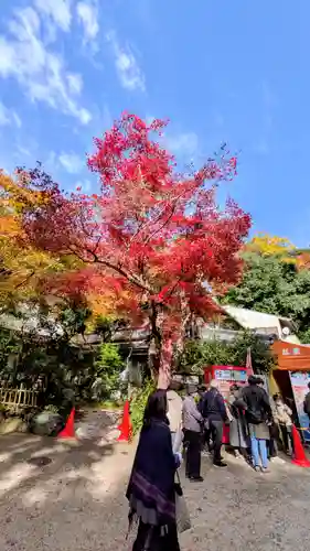 勝尾寺(大阪府)