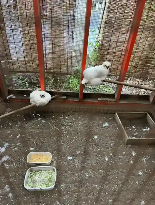 田無神社(東京都)