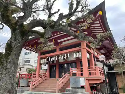 大善院の本殿・本堂