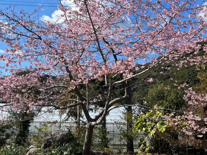 天津神明宮(千葉県)