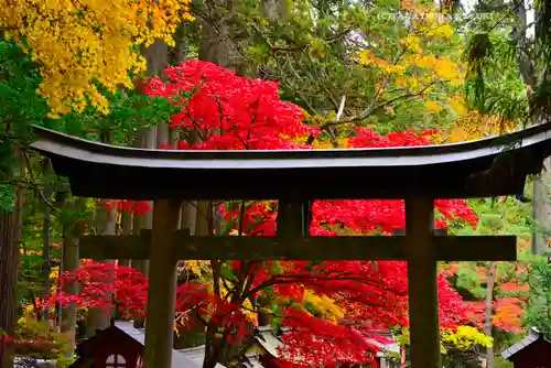 北口本宮冨士浅間神社(山梨県)