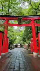 峯ヶ岡八幡神社の鳥居