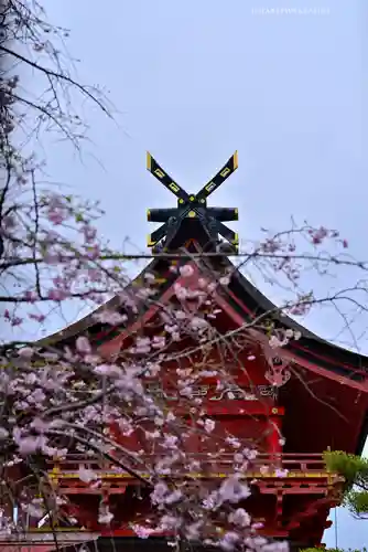 富士山本宮浅間大社(静岡県)
