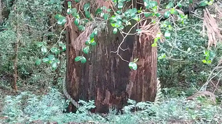 一之宮貫前神社(群馬県)