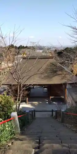 長谷寺(神奈川県)