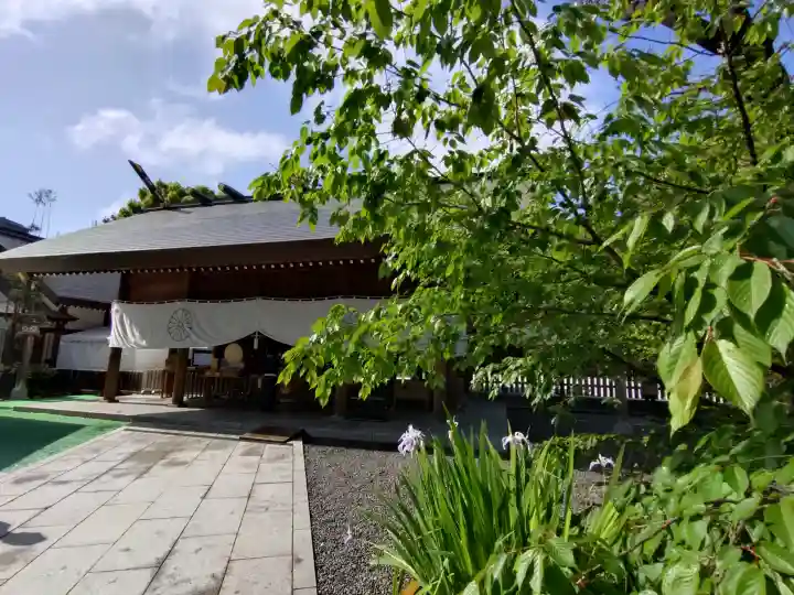 阿佐ヶ谷神明宮の{uncategorized: "未分類", other: "その他", undefined: "問題あり", building: "その他建物", grave: "お墓", sacred_gate: "鳥居", guardian: "狛犬", statue: "像", buddha: "仏像", history: "歴史", nature: "自然", garden: "庭園", animal: "動物", pagoda: "塔", temizu: "手水舎", mountain_gate: "山門・神門", sanctuary: "本殿・本堂", subordinate: "末社・摂社", art: "芸術", scenery: "景色", jizo: "地蔵", ema: "絵馬", goshuin: "御朱印", omikuji: "おみくじ", items: "授与品その他", amulet: "お守り", goshuincho: "御朱印帳", eats: "食事", festival: "お祭り", votive_dance: "神楽", shichigosan: "七五三参", wedding: "結婚式", experience: "体験その他", initially: "初詣", around: "周辺", anti_infection: "感染症対策"}