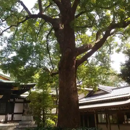 王子神社の自然