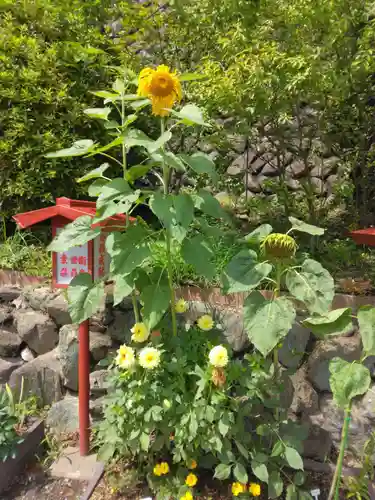 大船観音寺(神奈川県)