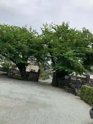 無量寺(神奈川県)