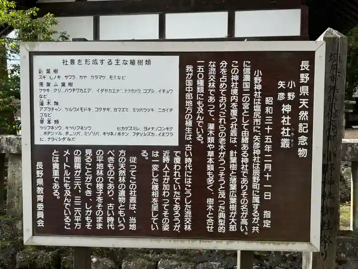 小野神社(長野県)