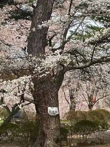 糠部神社の自然