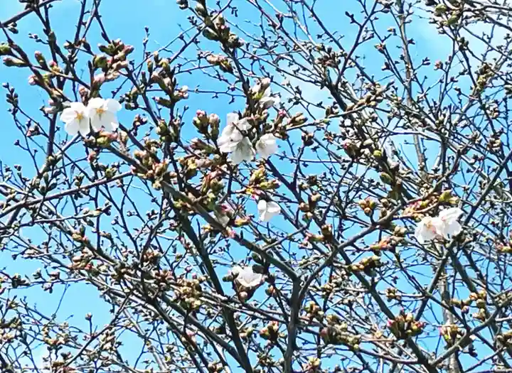 瀧宮神社(広島県)
