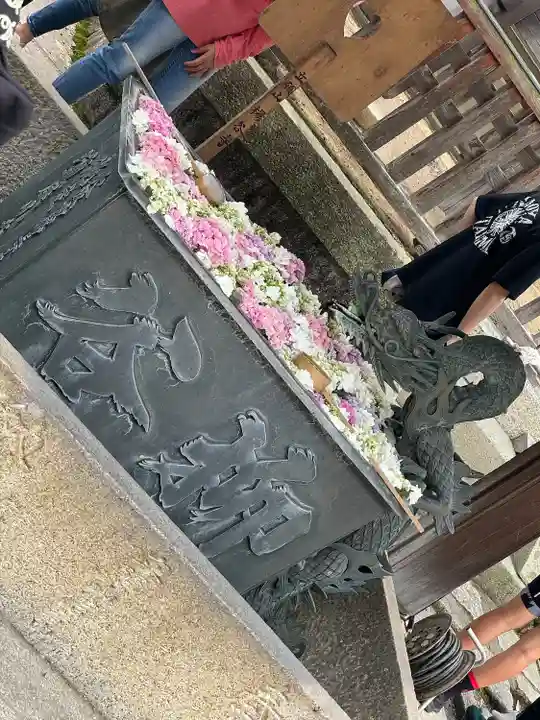 柳谷観音 楊谷寺(京都府)