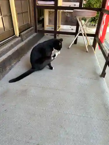 岡部春日神社～👹鬼門よけの🌺花咲く🌺やしろ～(福島県)
