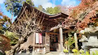 岩之上堂(埼玉県)