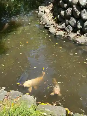 玉村八幡宮(群馬県)