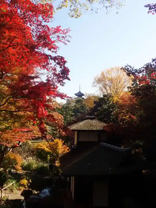 戸部杉山神社(神奈川県)