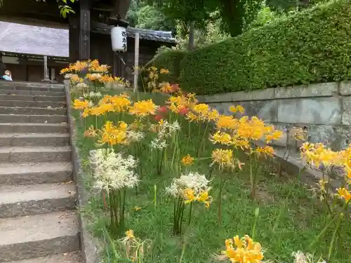 横浜　西方寺(神奈川県)