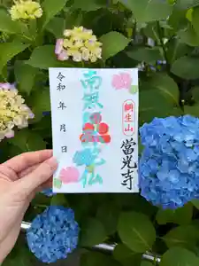 當光寺の御朱印 2026年06月20日(土)〜(2026年06月20日(土) 11時40分26秒投稿)