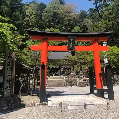 丹生川上神社（中社）の鳥居