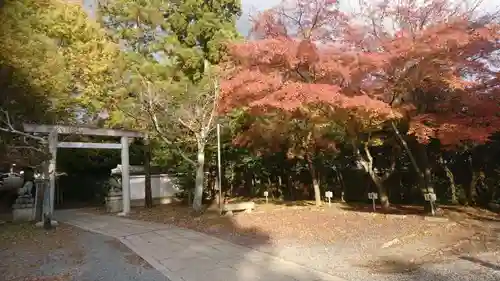 宗忠神社の建物その他