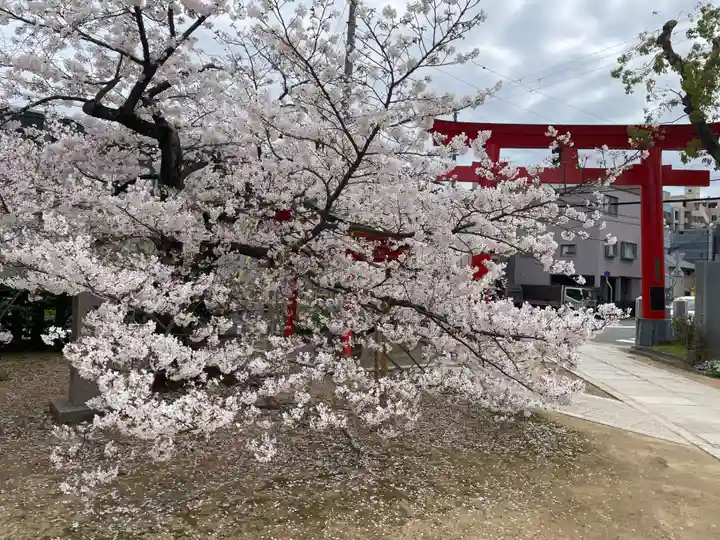 生田神社兵庫宮御旅所(兵庫県)