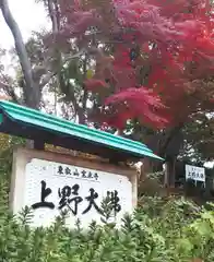 上野大佛の建物その他