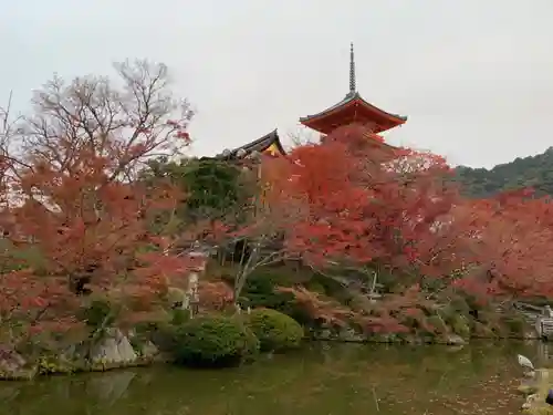 清水寺の庭園