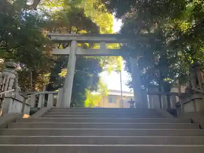 渋谷氷川神社の鳥居
