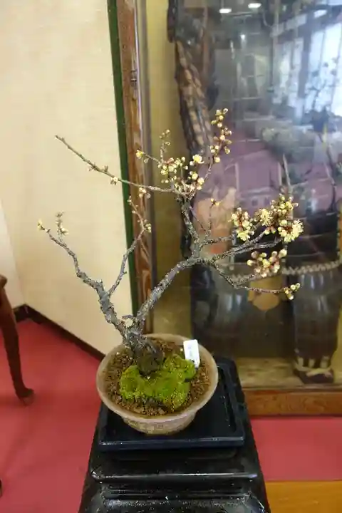 菅原天満宮(菅原神社)の自然