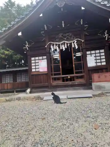 八幡社（柏井町）の動物