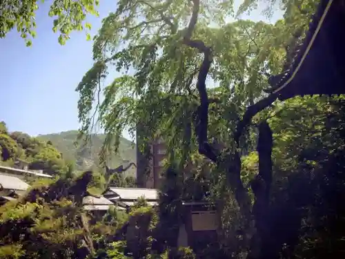 善福寺のその他建物