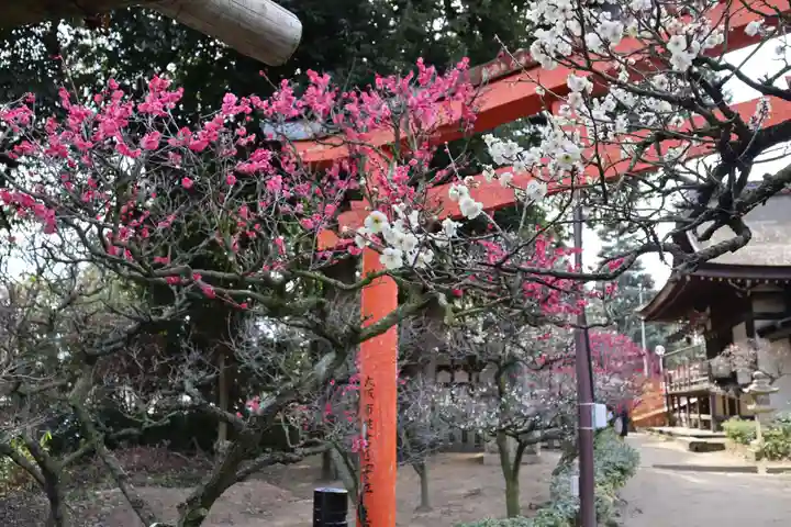 道明寺天満宮のその他建物